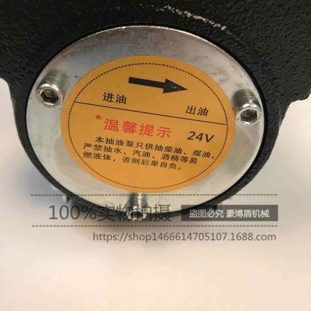 124V2直流加油泵电频油泵抽油动泵电柴油泵200W自吸V泵厂96951家
