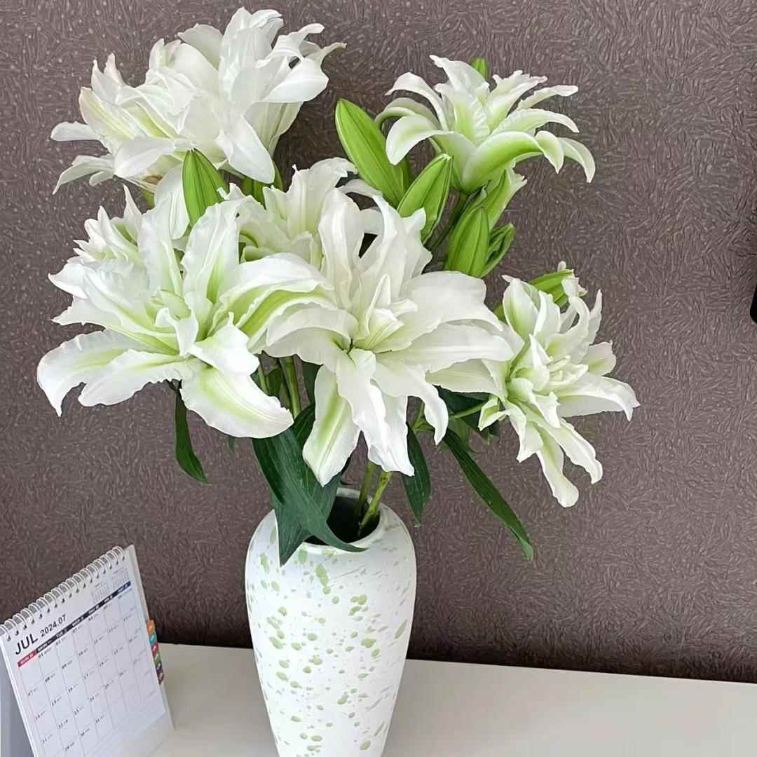 重瓣百合花鲜花云南鲜花直批婚庆布置花店摆摊用花团购水养花