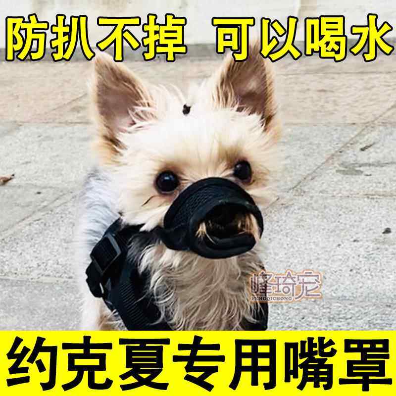 约克夏专用嘴套小狗狗嘴罩口罩嘴巴套防乱咬乱吃防叫可喝水小型犬