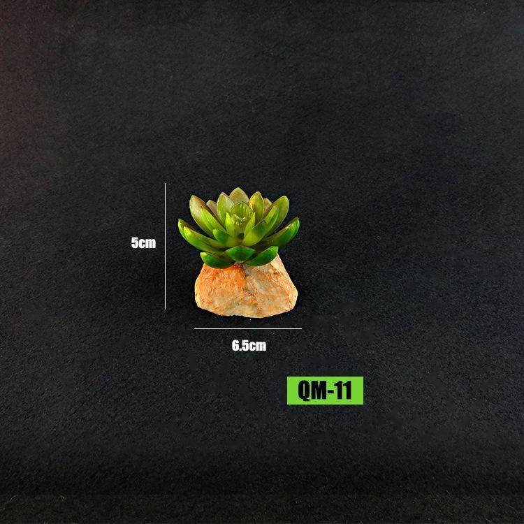 宠物蜥蜴仿真植物装饰摆件生态绿植爬虫饲养箱陆龟守宫爬宠箱造景,宠物/宠物食品及用品,玩具/造景装饰,淘宝优惠券,粉丝福利购,淘宝优惠卷