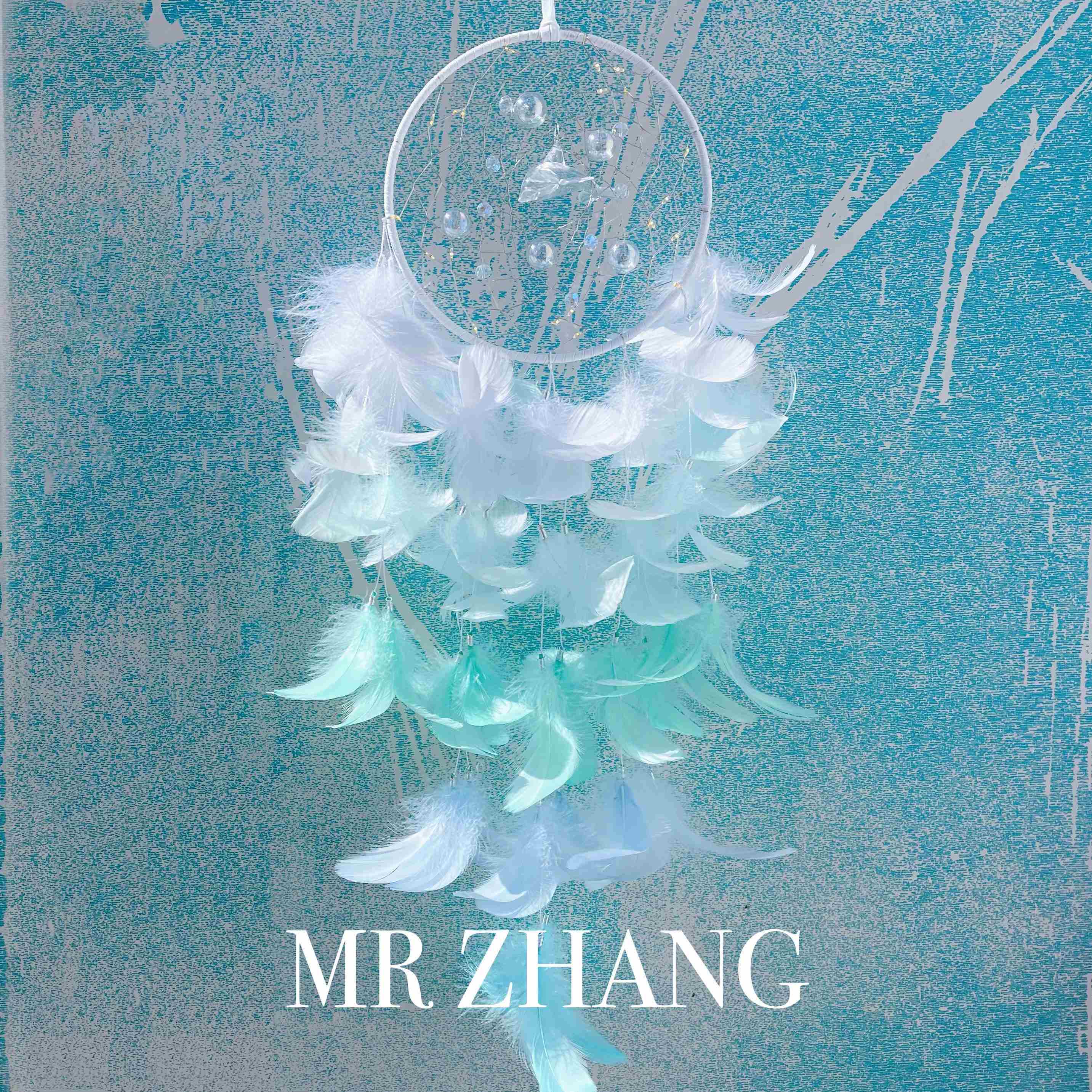 MR ZHANG捕梦网夜灯海洋灯具海豚挂饰夏天梦幻生日礼物少女房间