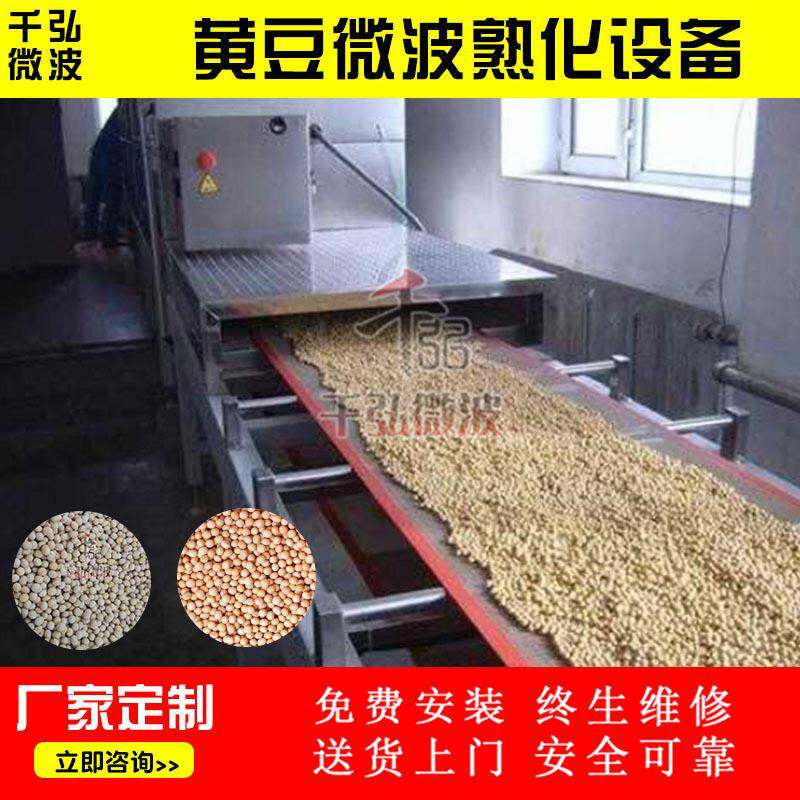 厂家供应微波干燥机械设备低温设备黄豆烘干熟化机
