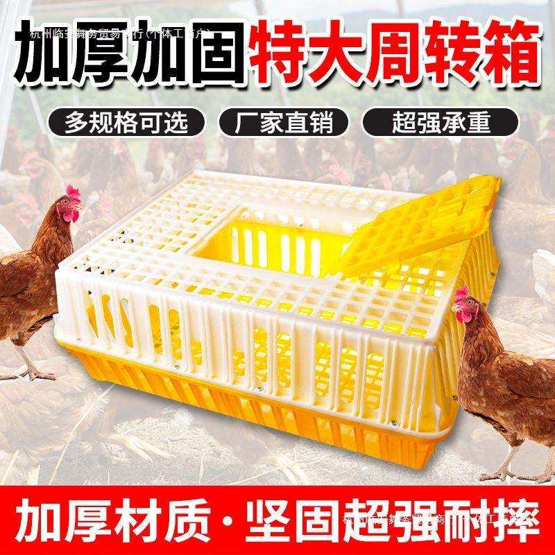 鸡笼运输笼塑料家禽周转箱筐成鸡鸭鹅鸽子笼子家用大号兔笼养殖笼