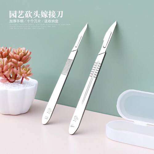 嫁接专用刀园艺刀多肉砍头刀水仙雕刻刀蟹爪兰仙人球扦插芽接
