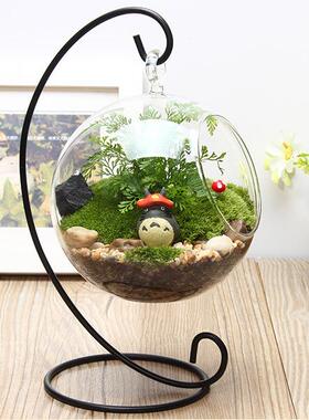 微景观铁架玻璃花瓶 透明悬挂圆瓶 苔藓DIY花瓶 创意家居工艺品
