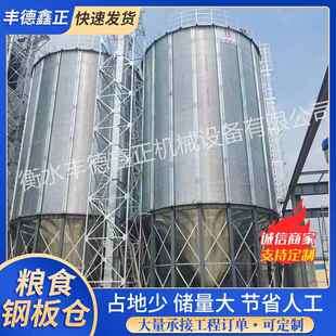 粮食钢板仓10到10000吨小麦玉米粮食防潮防虫储粮仓平底
