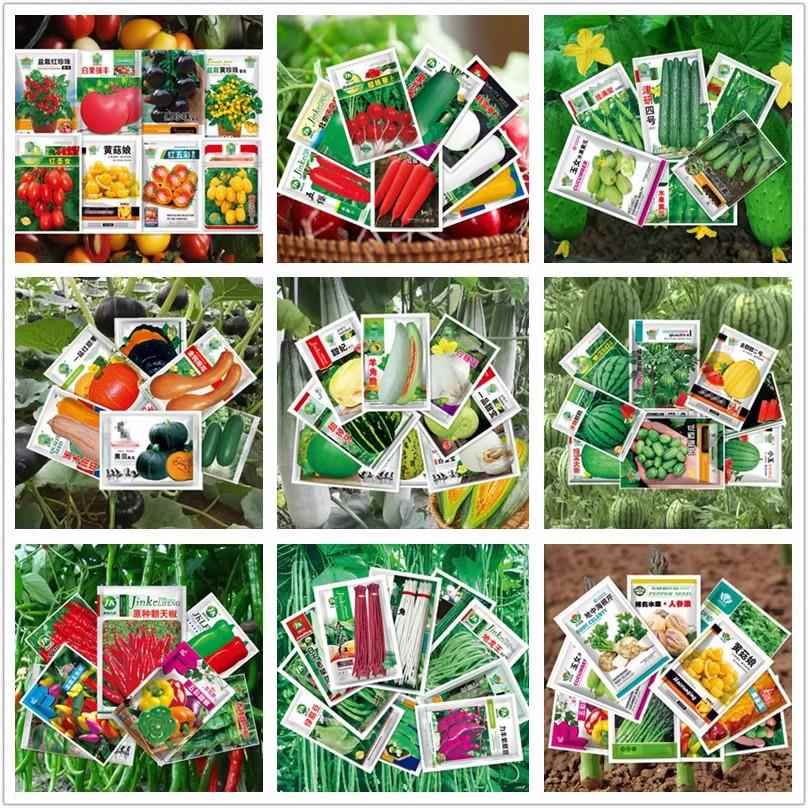 蔬菜种子四季小香葱大叶香菜播阳台盆栽种植辣番茄秋种椒籽子大全