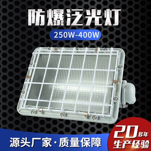 防爆泛光灯250W-400W灯分体式防爆金卤灯工厂灯投光灯防爆照明灯