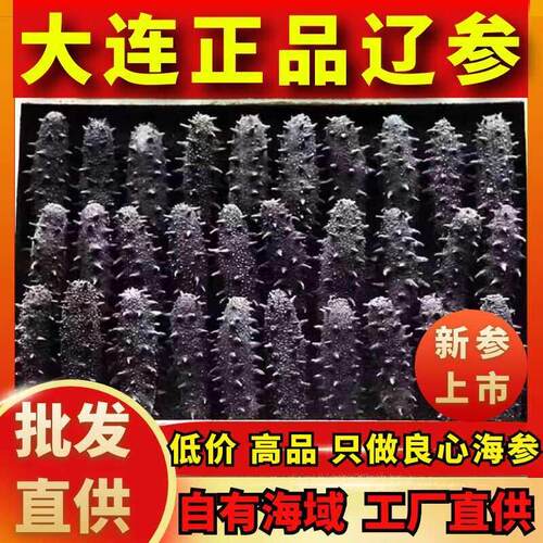 大连淡干海参干 干货500g野生辽刺参孕妇滋补品礼盒装送长辈