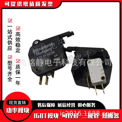 170H0069 170H0235 170H0236 170H0237 170H0238巴斯曼熔断器底座