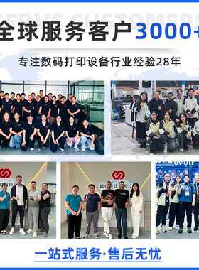 富丽印白墨服装t恤花机抖粉烘干一体画印d花机t印f白墨烫打FLY-60