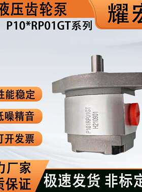 P10系列高压齿轮泵油泵P105/P104液压油泵P107/P108RP01GT 装载机
