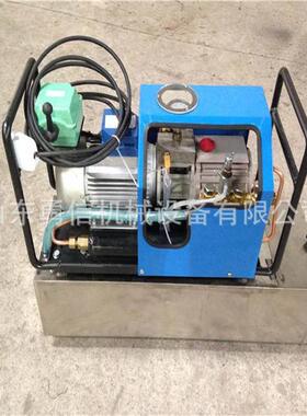 硫化机用电动水压泵 微型电动水压泵 LB-7*10硫化机用电动水压泵