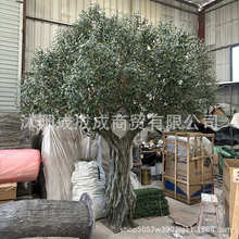 大型仿真绿植仿真橄榄树酒店橱窗软装造景装饰玻璃钢仿真橄榄树