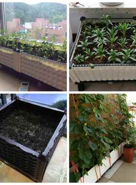用蔬菜种菜盆台长方特大阳室外种LAN家植箱种菜箱家庭塑料花形盆