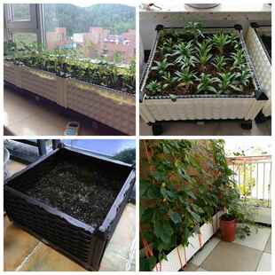 家用蔬菜外种菜盆特阳台FOA方形大室种植箱长种菜箱家庭塑料花盆