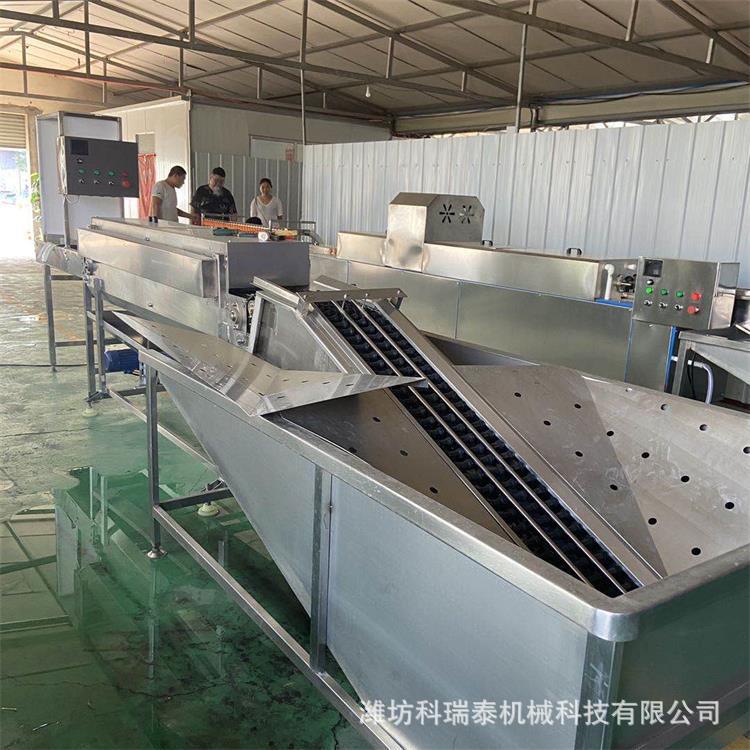 三排鸡蛋洗蛋机生产商家 厂家供应鸡蛋清洗流水线 不锈钢洗盐蛋机