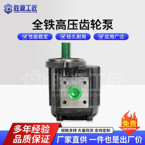 全铁24V高压齿轮泵液压齿轮泵直动式泵