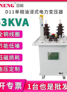 10kvD11单相油浸式电力变压器250/400杆上高低压配电变压器63kva