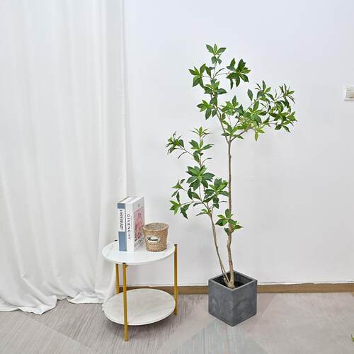 仿真马木zj4绿植盆栽客厅落地植物家红摆居装饰网室醉内件吊钟样