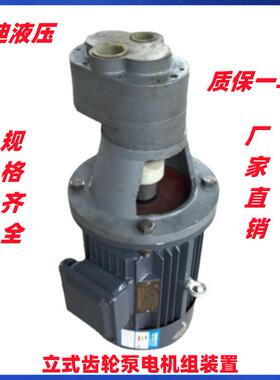 LBZ-40立式齿轮油泵电机组装置 配电机Y100L1-4-B5 2.2KW