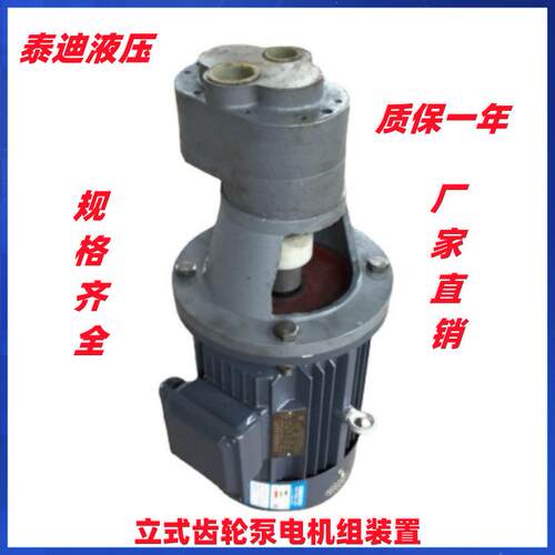LBZ-40立式齿轮油泵电机组装置 配电机Y100L1-4-B5 2.2KW