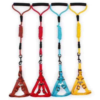 Dog leash Small dog round rope chest back foam handle Solid