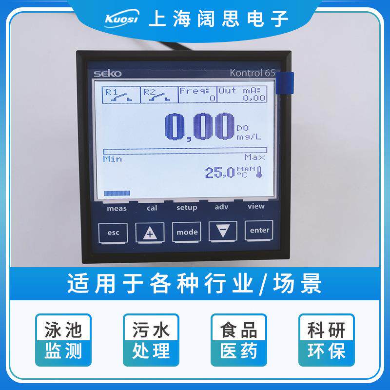 流SKO赛高泳池水质检K65系列测参数仪表KE65系列PH计电单导率仪量