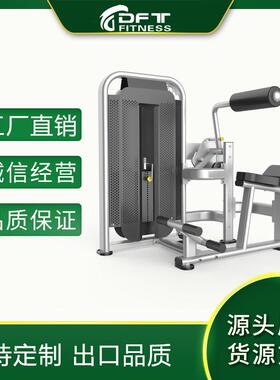 DFT-1695腰部后压腹部前屈器械腹肌背脊训练器山东商用健身器材