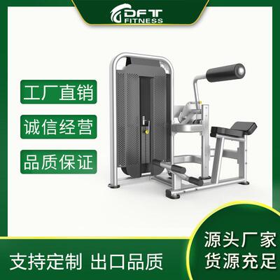 DFT-1695腰部后压腹部前屈器械腹肌背脊训练器山东商用健身器材