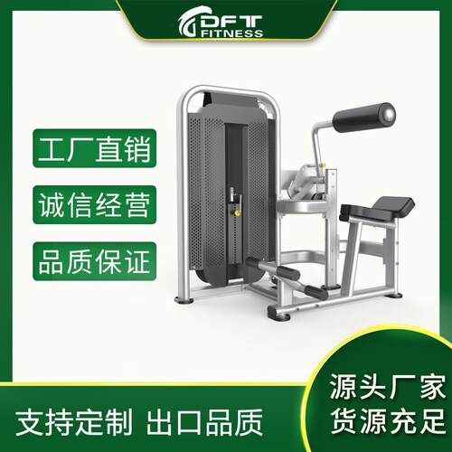 DFT-1695腰部后压腹部前屈器械腹肌背脊训练器山东商用健身器材