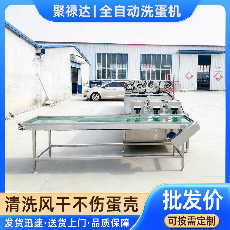 大型禽类洗不蛋锈钢蛋三排蛋机商用全FTG自动洗机鸡蛋鸭蛋清洗机