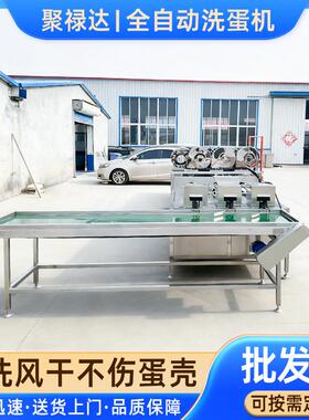 大型禽类不锈钢排洗蛋机XLR蛋商用全自动洗蛋机清鸡蛋鸭蛋洗三机