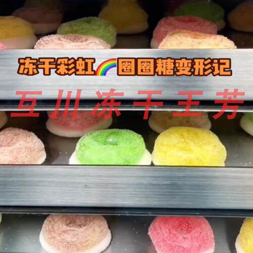 真空冷冻干燥机设ZKF备宠食30平冻干线  工业10平方米品冻干物机