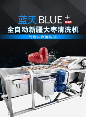 全自动新疆大枣清洗机 红枣气泡清洗机 枣子喷淋式清洗机生产厂家
