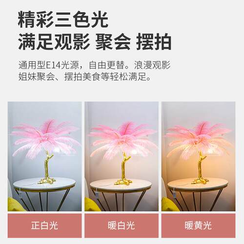 羽毛台灯卧室北欧客厅灯床头台灯创意简约树脂鸵鸟羽毛灯装饰台灯