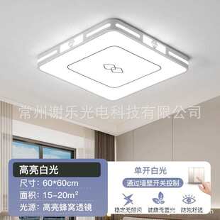 灯智能简约新款 led语音长方形客厅吸顶灯圆形超薄现代灯卧室灯具