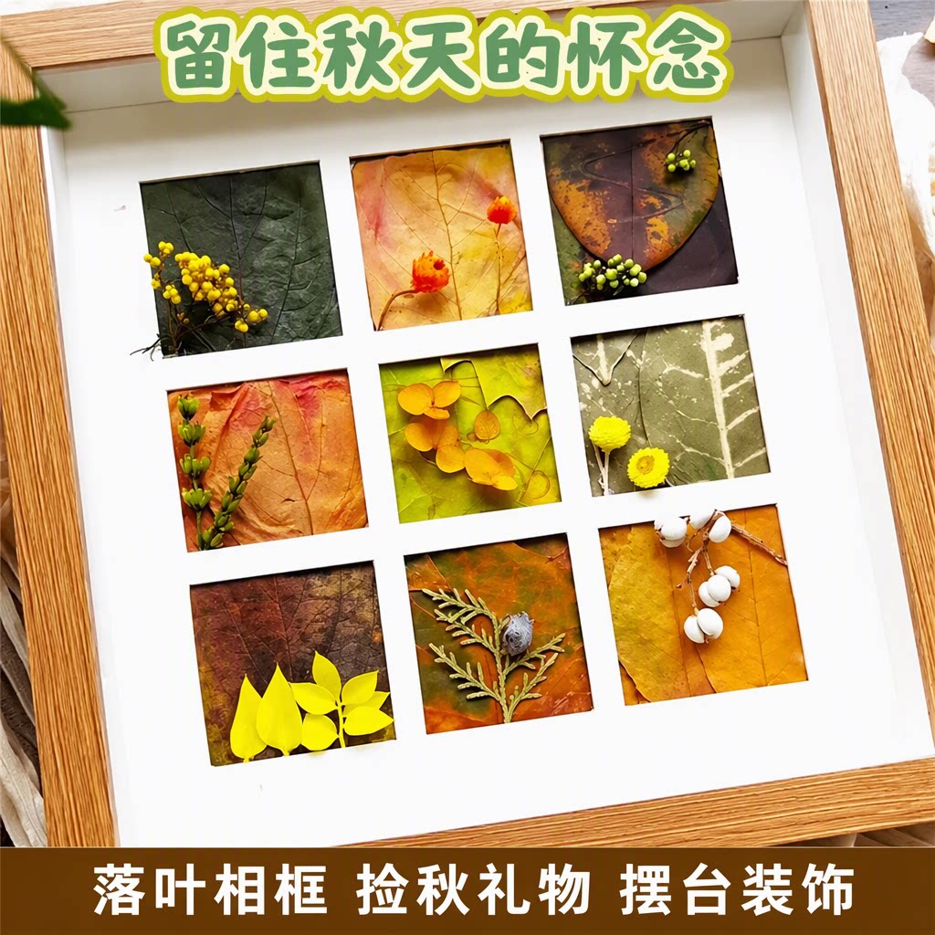 秋天树叶标本收集框木质九宫格落叶相框DIY手工捡秋礼物摆台画框
