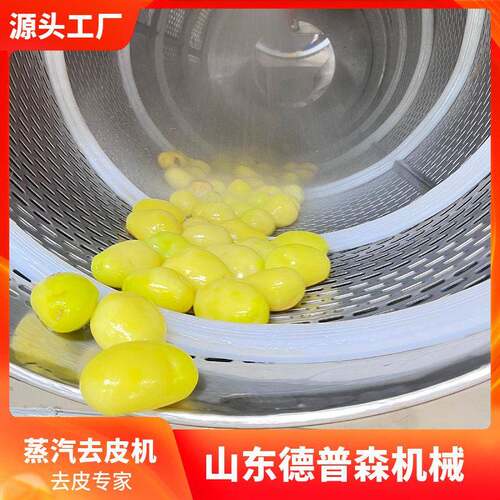 马铃薯芋头蒸汽去皮机水果头加工去皮设备