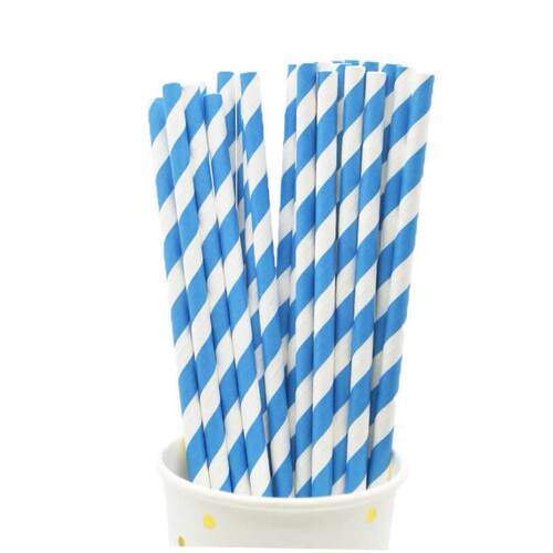 25pcs Christmas Blue Theme paper straws birthday party