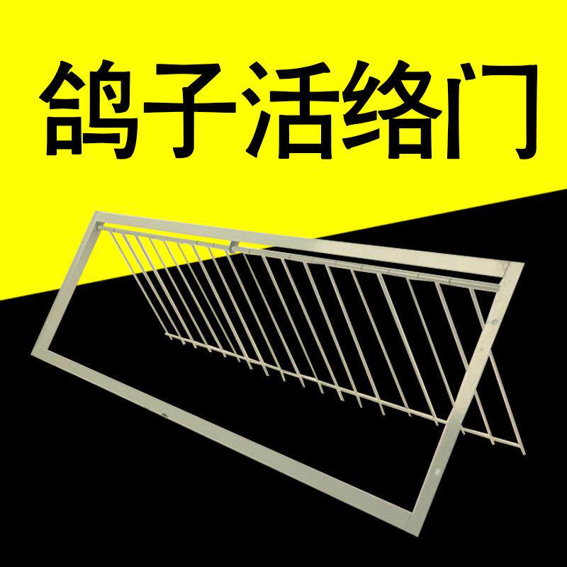 跨境新品鸽子用品赛鸽活络门活动门跳笼机械碰撞门信鸽笼门