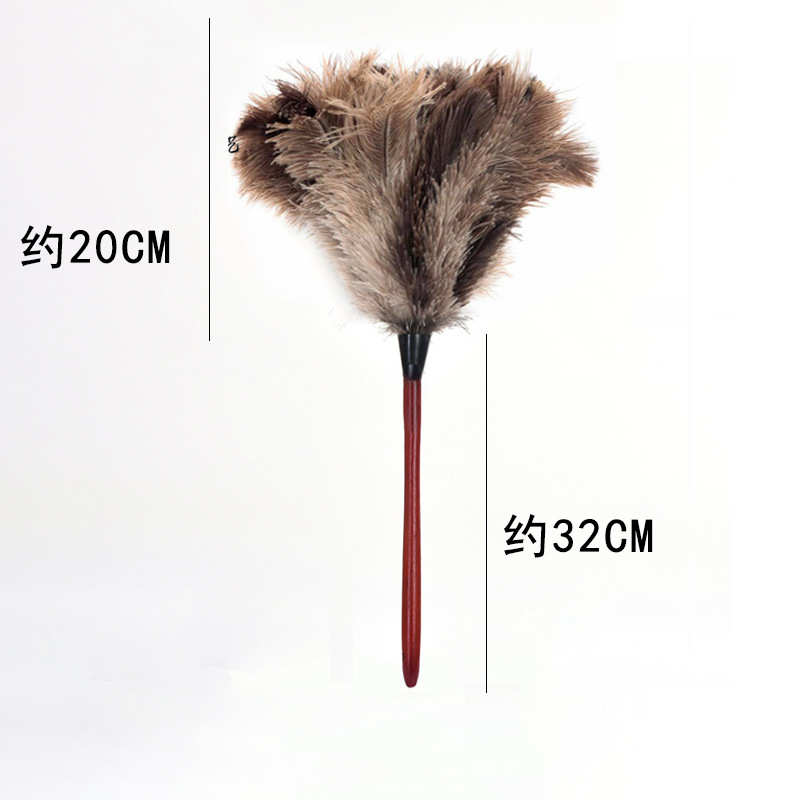 electr  ostrichhandlebrushwithduster  feather dusters long