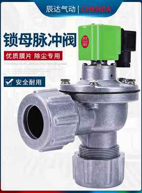 上海袋式布袋除尘器脉冲电磁阀Dmf-Zm-25/40S/45Dd螺母电磁脉冲阀