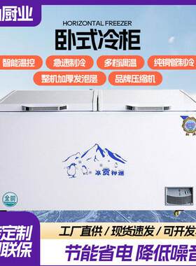 卧式冷柜商用大容量冷藏保鲜超市雪糕柜双温双室铜管速冻展示柜