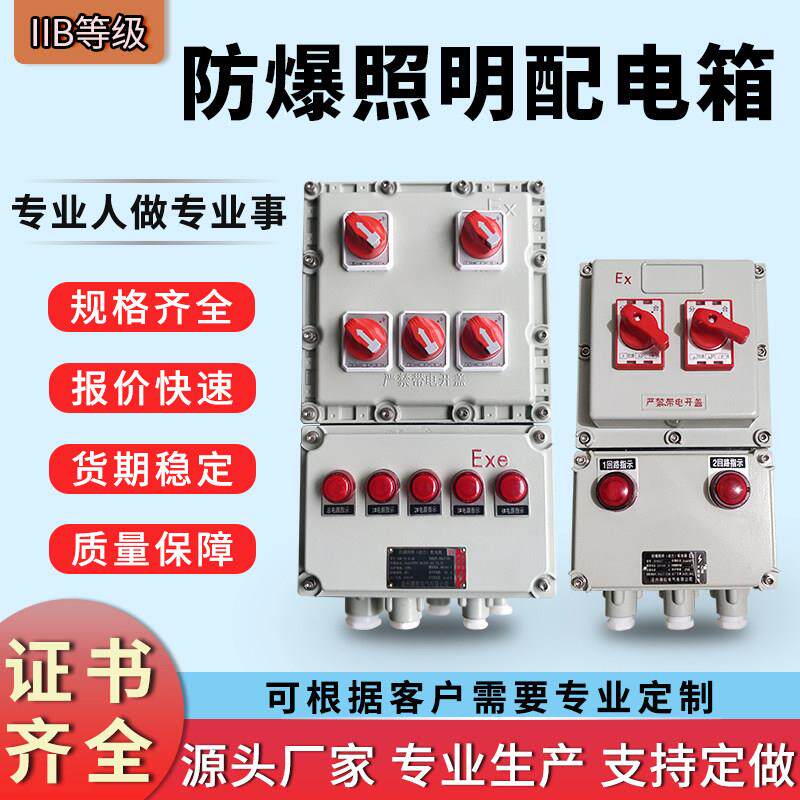 防爆照明配电箱BXMD-5/K25A检修动力配电柜开关电源接线盒防爆箱