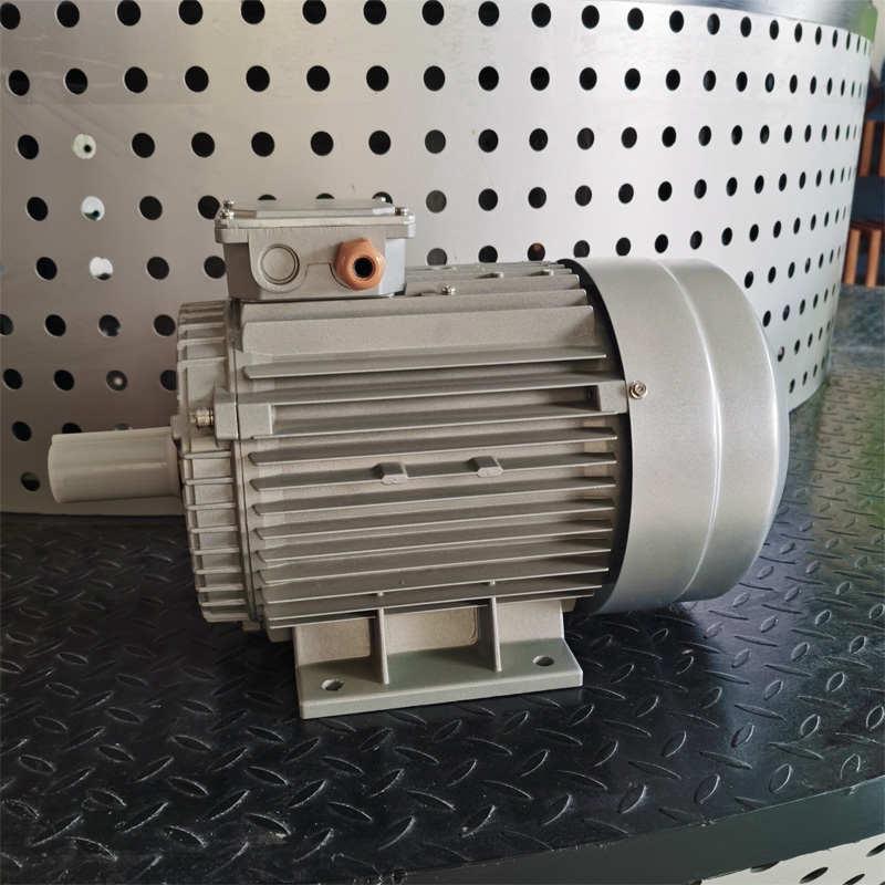 【闽东华大】MSW耐高温高湿烤房干燥设备配套风机专用电机IP55