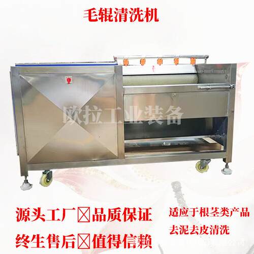 海产品牡蛎去泥机 芋头花生洗泥去皮设备 土豆全自动毛辊清洗机