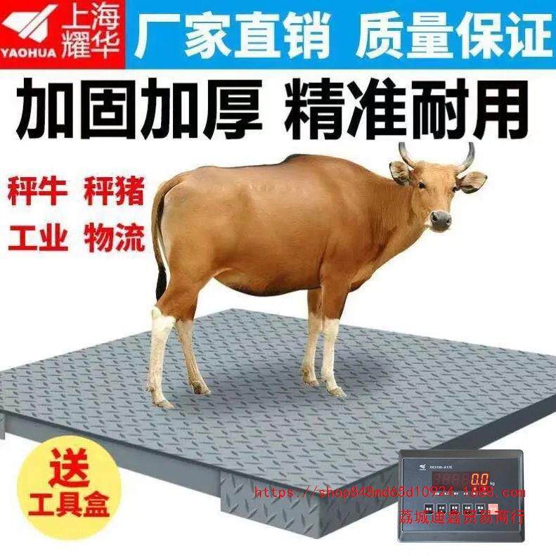 上海耀华地磅秤1-3吨高精度平台小型电子地磅称猪牛畜牧秤带