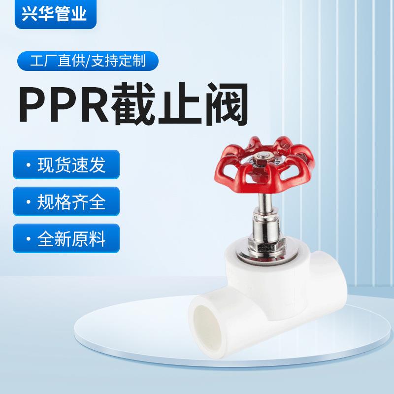 厂家直发ppr截止阀白色现货 铜阀芯白色水管配件双头活接冷热水阀