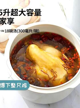 天际（家电） DGD55-55AG(A)天际大容量全自动隔水炖锅陶瓷银耳煲